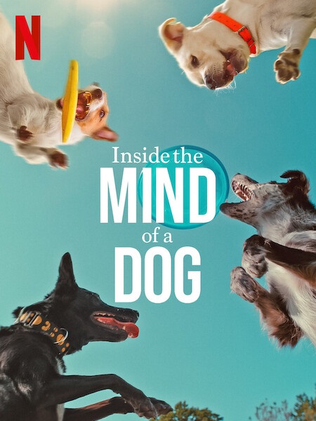 فيلم Inside the Mind of a Dog 2024 مترجم