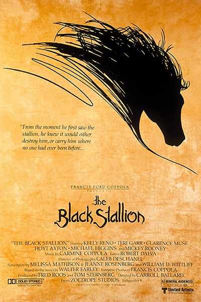فيلم The Black Stallion 1979 مترجم